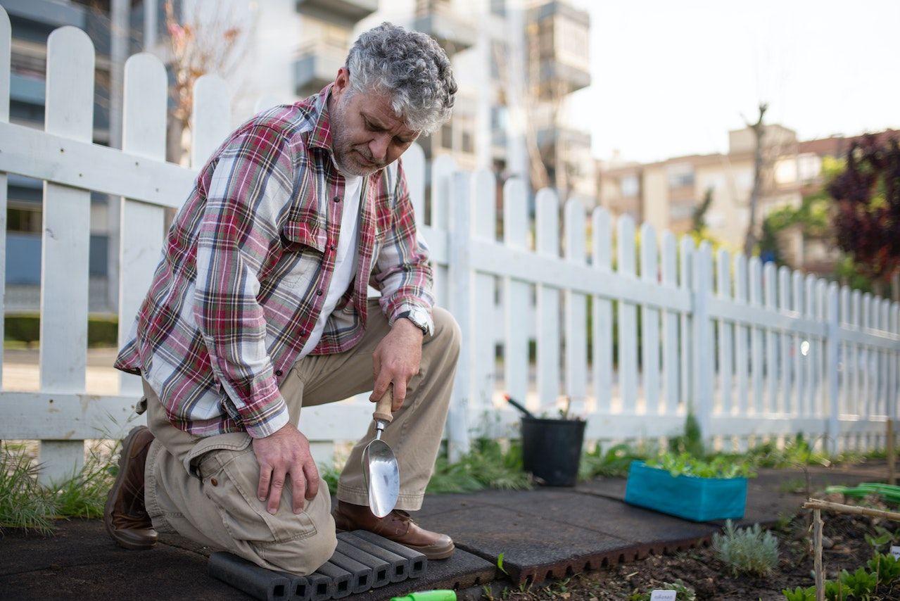 quoi planter en hiver dans le jardin